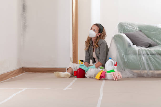 Reliable Mold Remediation contractor in Sachse, TX by WQB Mold Removal